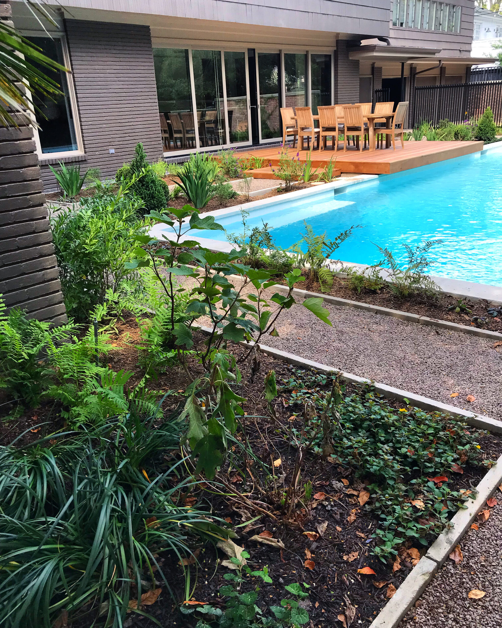 modern houston landscaping, modern houston landscape design, houston landscape design, pool landscaping, modern landscape design