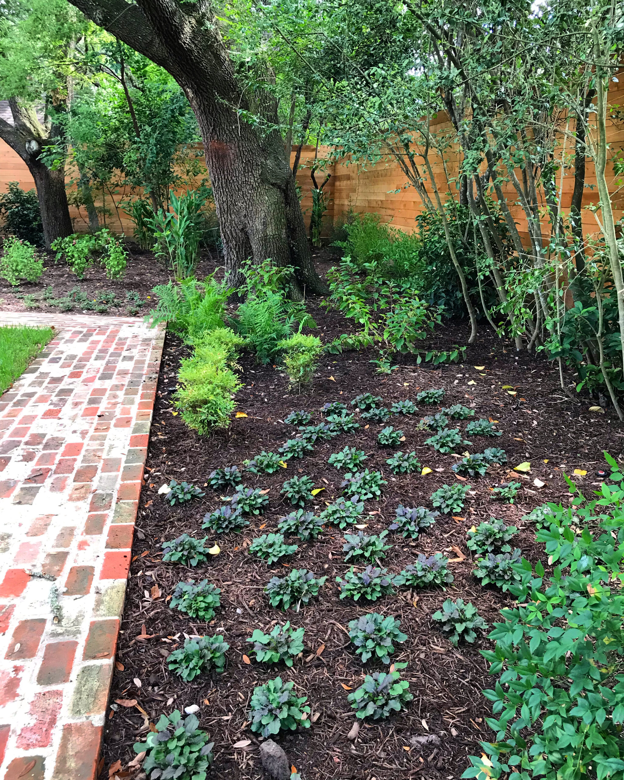 houston woodland garden, houston modern landscaping, houston landscape design, houston modern landscape design,